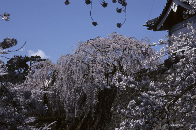 photo09