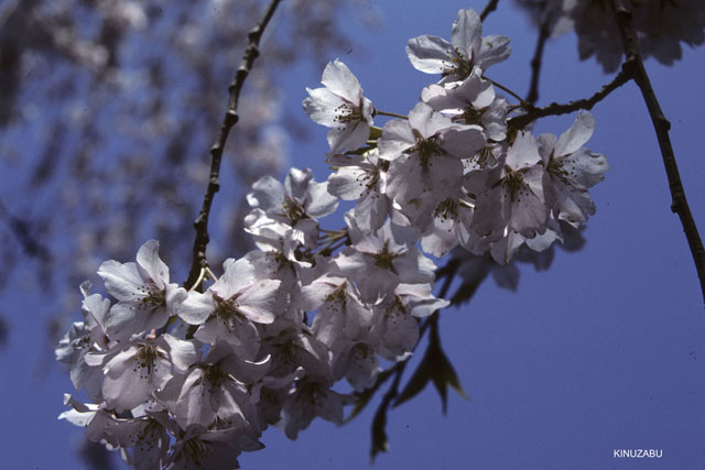 photo10