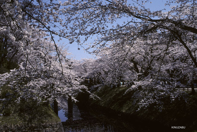 photo12