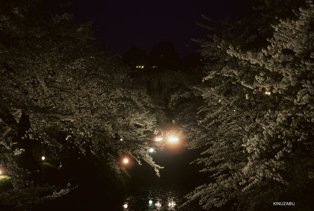 photo03