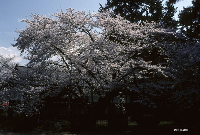 photo11