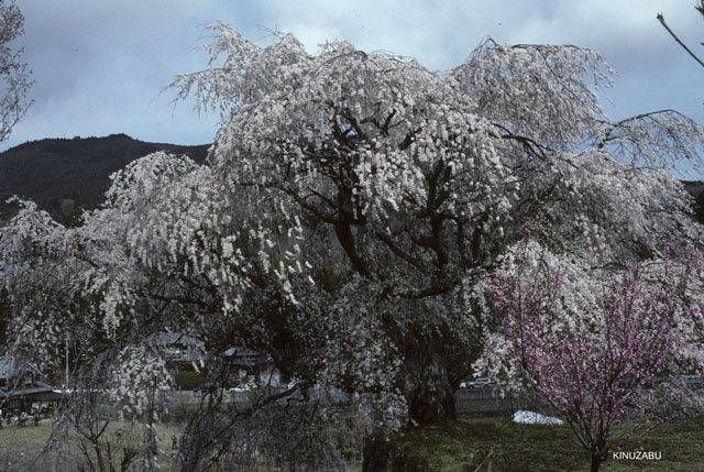 photo03