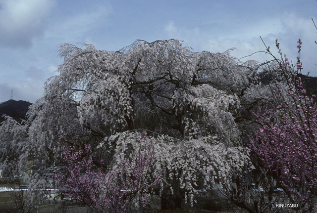 photo04