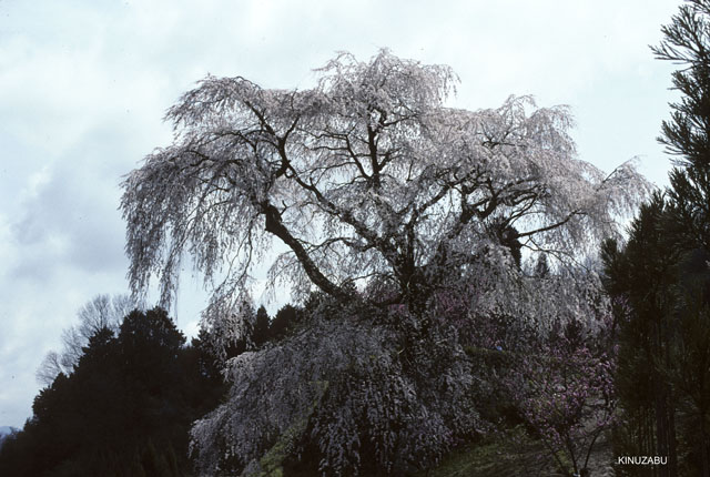 photo09