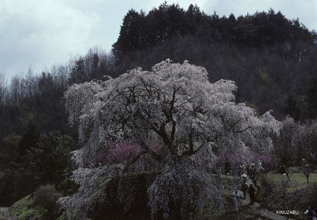 photo10